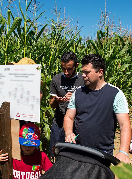 A maze in a maize field in Bénodet near Quimper