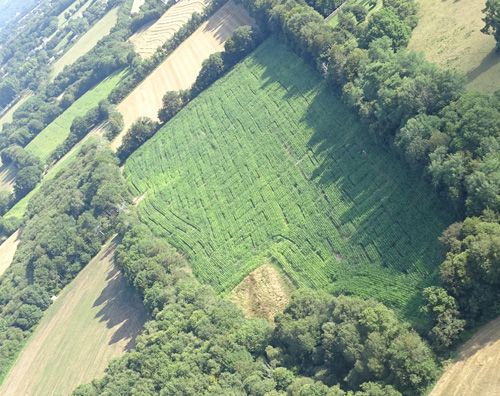 Vue du ciel du labyrinthe végétal près de Quimper